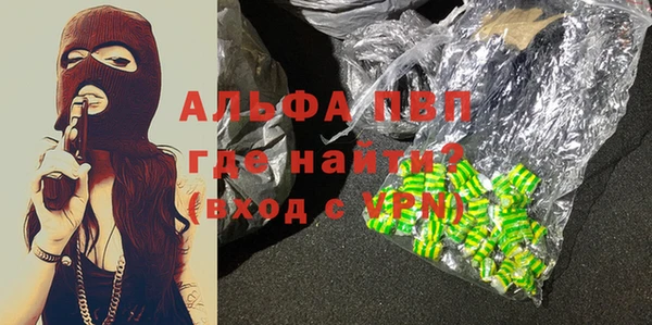 хмурый Арсеньев