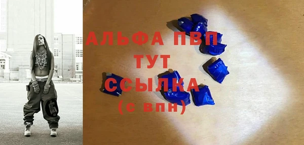 хмурый Арсеньев