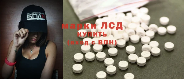 хмурый Арсеньев