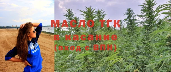хмурый Арсеньев