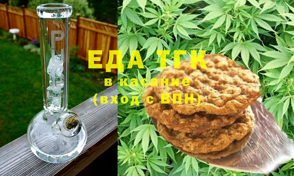 хмурый Арсеньев