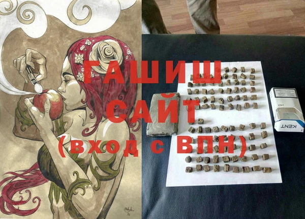 хмурый Арсеньев