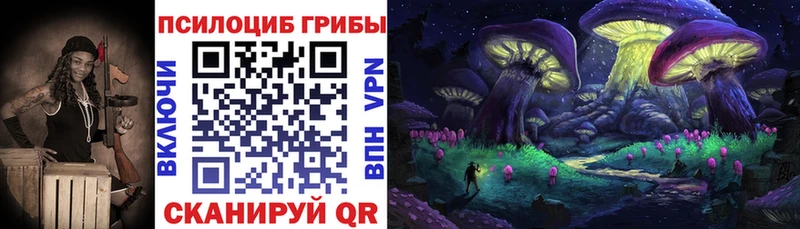 Галлюциногенные грибы Psilocybe  Купить закладки  Юрюзань 